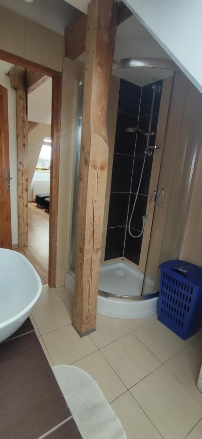 Apartament Gliwice Centrum Buitenkant foto